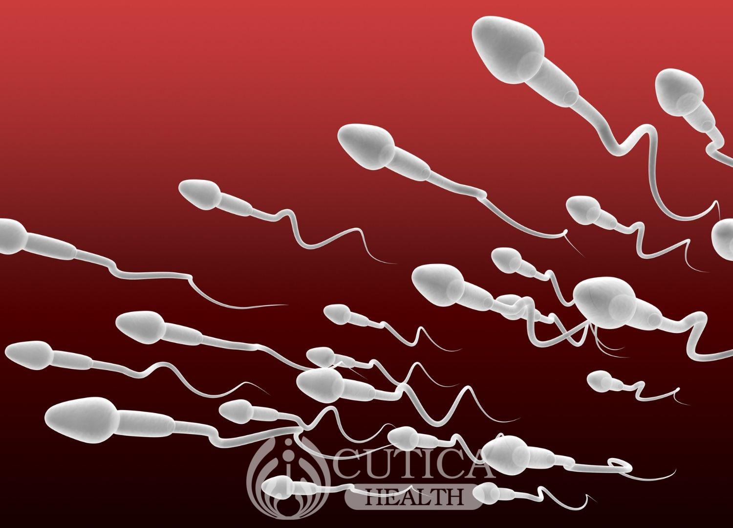 Causes of male infertility